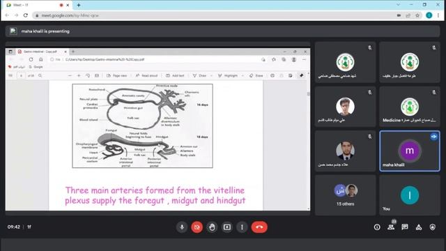 ?????????? Development and embryogenesis of the GIT смотреть онлайн