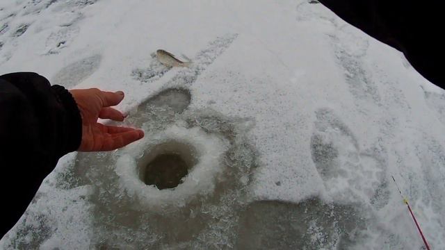 Тестирую Две Новые мормышки 👆. Рыбалка на реке Лебедь на безмотылку 👆 смотреть онлайн