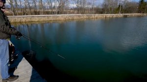 Как ловить форель. Советы новичку🎣