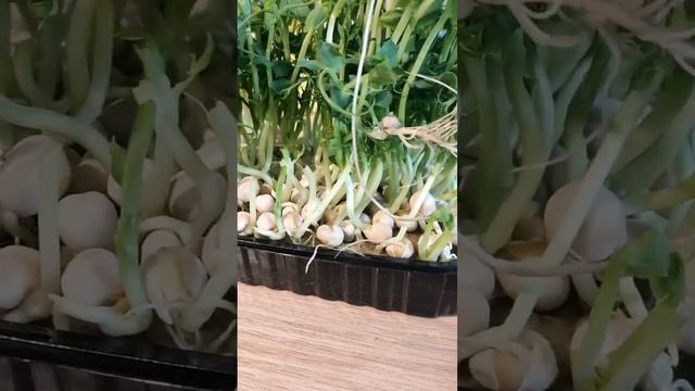 ? Пророщенный горох на OZON FRESH!! #обзор смотреть онлайн