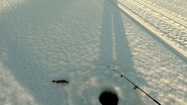 МОТОБУКСИРОВЩИК САМОДЕЛКА. Тест поездка на рыбалку после ремонта. смотреть онлайн