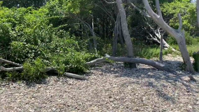 HERE WE GOOO! LICENSE PLATE HOLDER? WHAT TO DO???