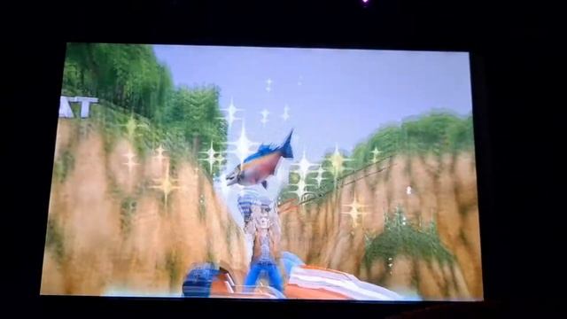 [Rapala:We Fish Speedrun] Dolphin Class First All Races (21:46.580) WR смотреть онлайн