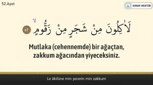 Vakia suresi anlamı dinle Bilal Darbali (Vakia suresi arapça yazılışı okunuşu ve meali)