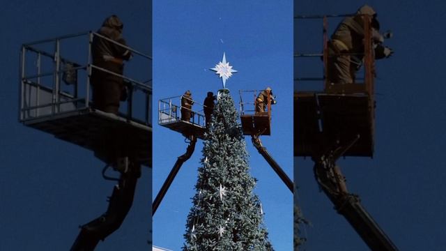 #белгород #белгородскаяобласть #белгород31 #елка #новыйгод #рождество смотреть онлайн