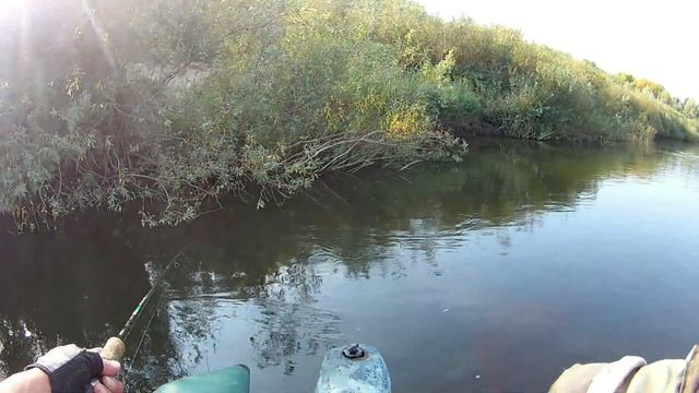 Ловля Щуки на реке Сож. Щука на Воблера от BEARKING -- она их обожает. Рыбалка в БЕЛАРУСИ. смотреть онлайн