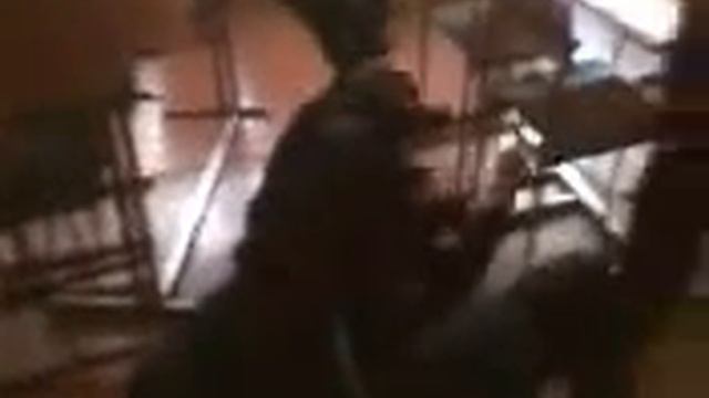 Миша Лесник против Ваню негря смотреть онлайн