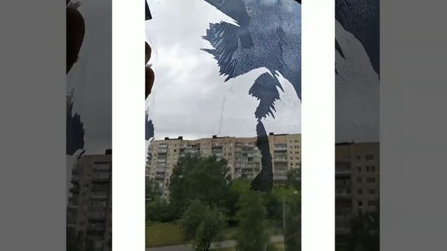 Как снять солнцезащитную пленку с окна без царапин смотреть онлайн