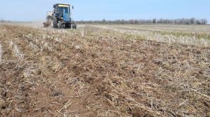 Посев суданской травы сеялкой сзс 2 1 no till