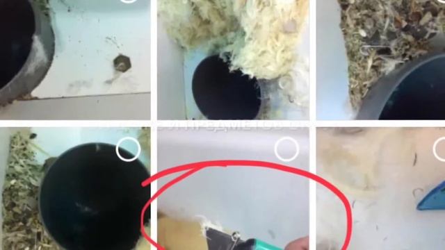 РЕСТАВРАЦИЯ ПОДУШЕК, ПЕРИН И ОДЕЯЛ | ВОЛКОВЫСК И РАЙОН | ПодушкоВВ смотреть онлайн