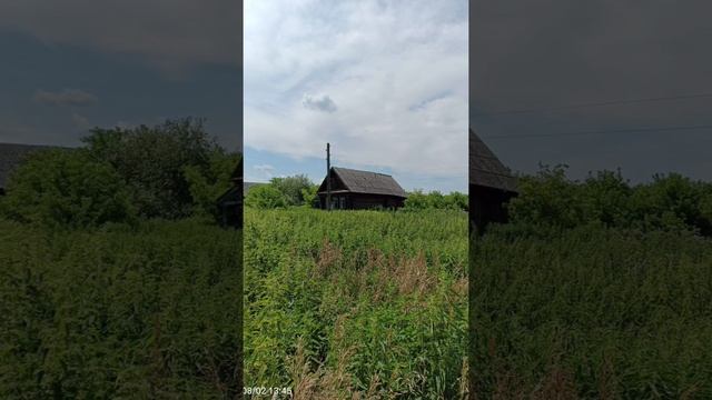 Снится мне деревня.