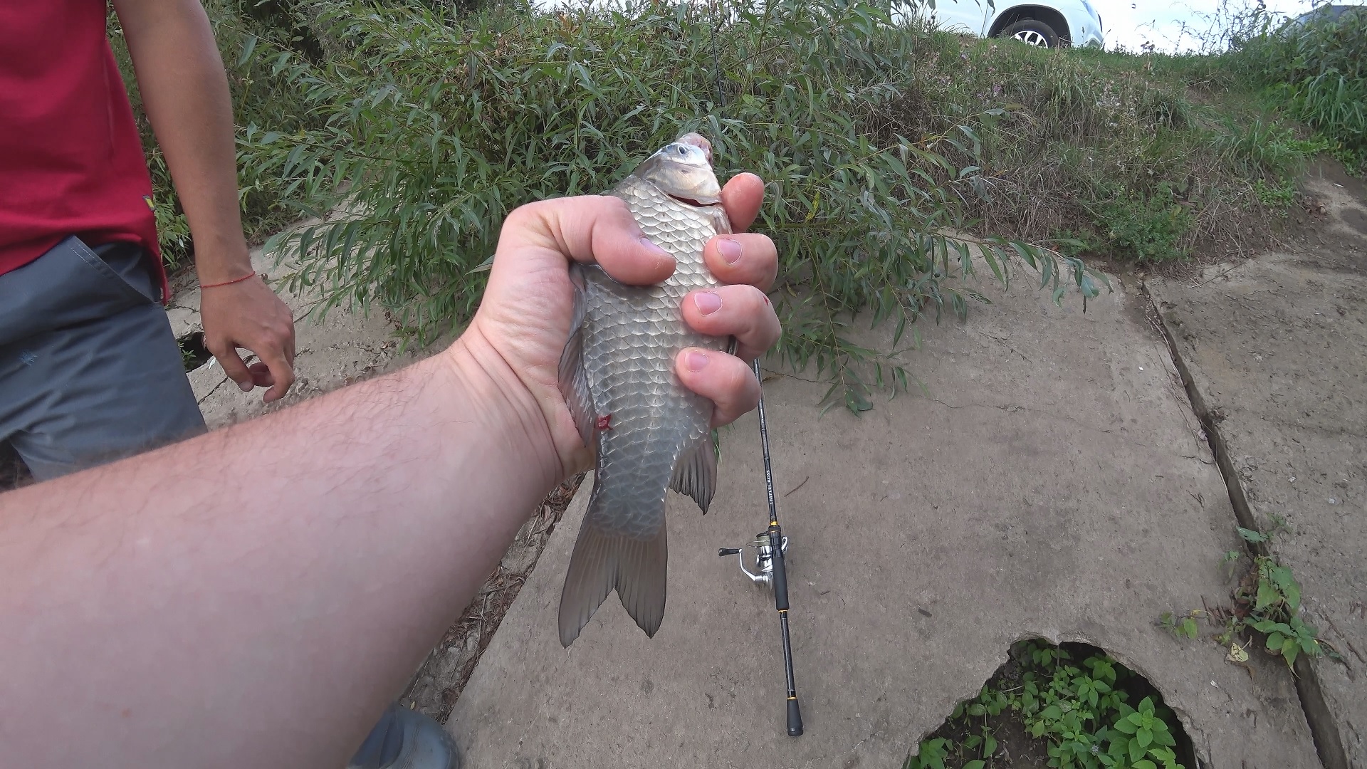 Крупный карась и карп на кукурузу. Рыбалка на поплавок и донку в перемену погоды.