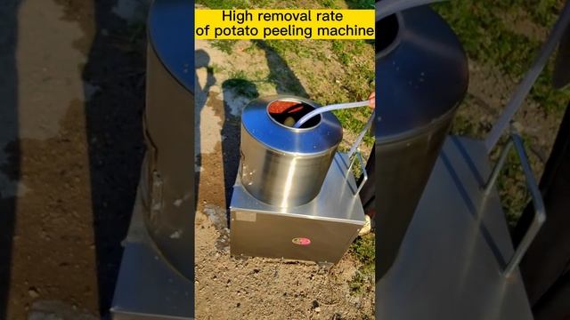 Peel Like a Pro with Our Potato Peeling Machine смотреть онлайн