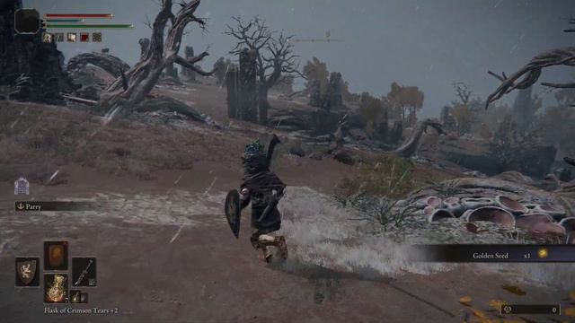 Elden Ring : Beastial Sanctum Golden Seed Location смотреть онлайн