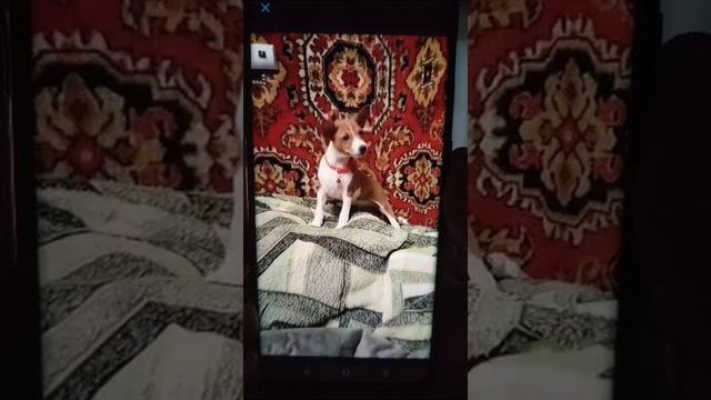 Мартин Начало. смотреть онлайн