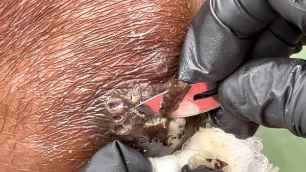 Josephine is SO JIGGERED - watch full juicy video @riseupsociety.net