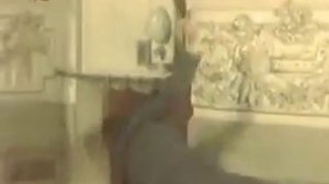 Перестрелка в театре -  Миклован (Комиссар полиции обвиняет)