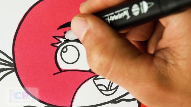 Angry Birds Coloring Pages/Red/Stella And Blue/Angry Birds/Diviners - Escape/feat. Rossy/NCS Releas