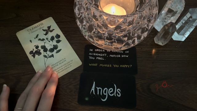 ?How might you help make the world a better place?•Pick-a-card TIMELESS смотреть онлайн