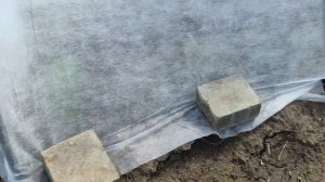 Как закрепить спанбонд на парнике