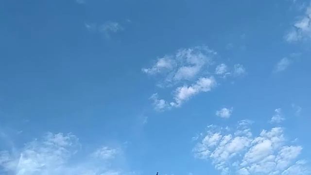 Белые кораблики смотреть онлайн