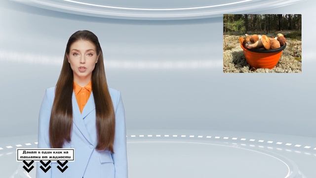 Жители Тульской области начали собирать грибы смотреть онлайн