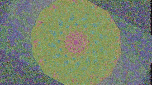 Simulated Video Feedback on the GPU (Run 8403) смотреть онлайн