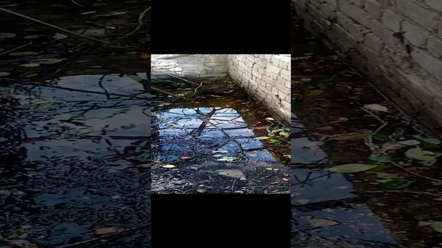 Наша база часть 1(их 2) смотреть онлайн