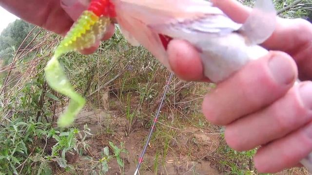 Отпустил СУДАКА а он ПОЗВАЛ ПАПУ!!! Рыбалка ХИЩНИКА НА РЕКЕ!!! смотреть онлайн