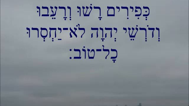Psalm 34 - an acrostic psalm quoted in 1 Peter 3:10-12, John 19:36 смотреть онлайн