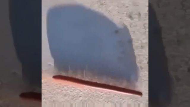 Сколько ножек? смотреть онлайн