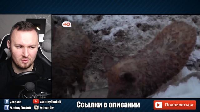 Обмен женами ► Толстушка упала в Г0ВН0 ► 6 выпуск 5 сезон смотреть онлайн