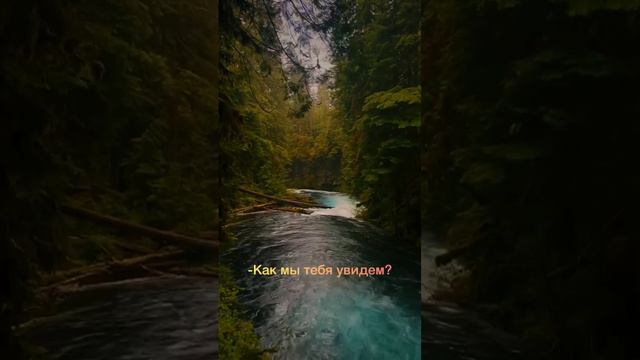 Любить пророка Мухаммада ﷺ значит следовать его сунне и Корану. Совершать благие дела. и т. д смотреть онлайн