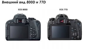 Обзор актуальной линейки зеркальных камер Canon с датчиком APS-C (EOS 77D, 800D, 200D, 2000D, 4000D