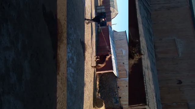 БУЯН 1,5 ГОДА ГОРОД РЯЗАНЬ смотреть онлайн