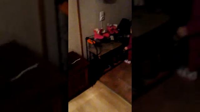 Тапки всякие нужны... смотреть онлайн