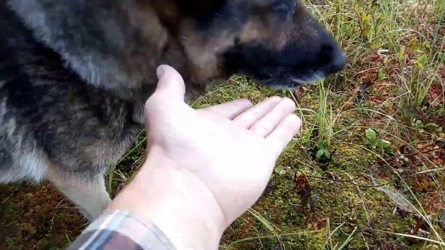 клюква 31 августа 2022 год смотреть онлайн