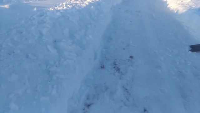 Жизнь - говно, но мы с лопатой! Бери больше, кидай дальше! смотреть онлайн