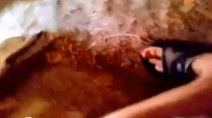 Огромный алабай едва не загрыз хозяина в конуре.mp4