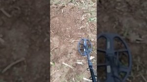 Тест частот на Металлоискатель Nokta Makro Legend.