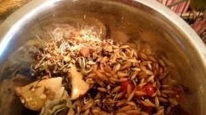 Чем кормить попугаев помимо корма. Чем кормить попугаев