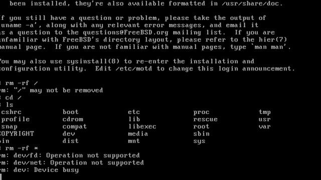rm -rf / on FreeBSD as root смотреть онлайн