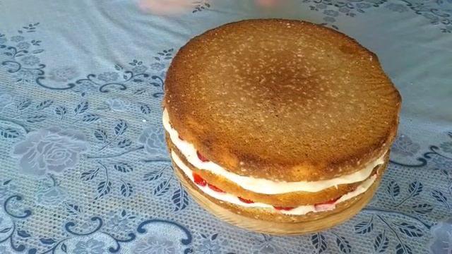 Спортивные Моменты и Забавы