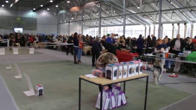 Сказка Востока Заман смотреть онлайн