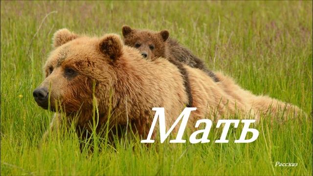 Мать.. (рассказ)