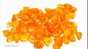 НЕ ВЫБРАСЫВАЙТЕ ПРОСРОЧЕННЫЕ ЛЕКАРСТВА !!! Они пригодятся вам на огороде !