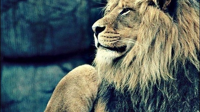 DeeJay Dan - Euromix Sarov 230 [2016] смотреть онлайн