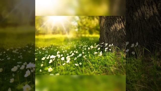 С Днём рождения, первая учительница смотреть онлайн