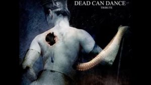 Danny Lilker (Nuclear Assault) "Cantara" cover