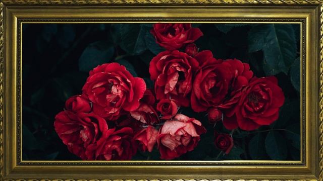 TV WALLPAPER | FRAMED PAINTING смотреть онлайн